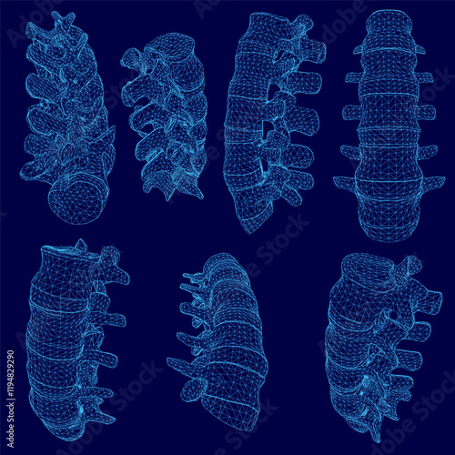 Series of blue images of a spine. The spine is shown in different positions and angles. The spine is shown in a 3D format, which gives it a more realistic appearance
