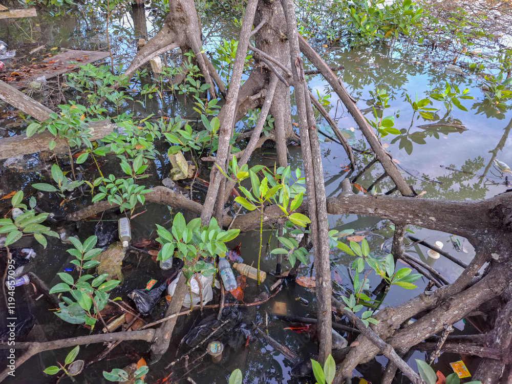 mangrove roots on the seashore with plastic waste scattered around mangrove roots on the seashore with plastic waste scattered around
