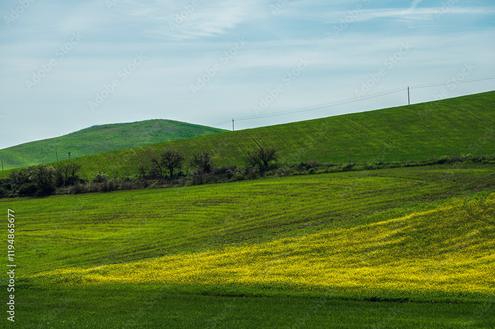 Fototapeta premium Matera province: spring countryside landscape 