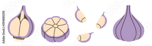 Flat-style illustration of garlic in different perspectives, including whole bulbs, cross-sections, and individual cloves. Perfect for culinary designs, recipe layouts, and healthy food concepts.