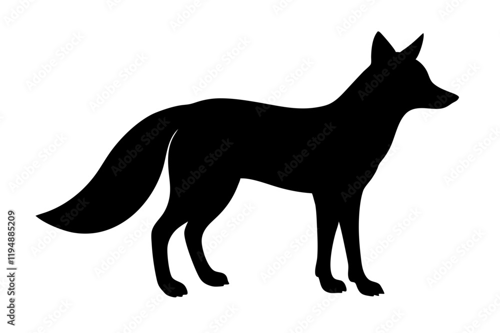 Fox silhouette Fox silhouette