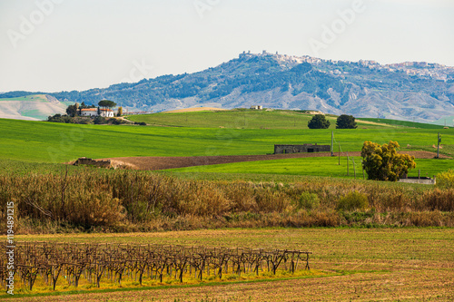 Matera province: spring countryside landscape  photo