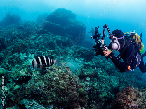 Wallpaper Mural professional scuba diver taking picture of striped fish while swimming near rocky bottom undersea in clear water, concept of underwater photography and active leisure Torontodigital.ca