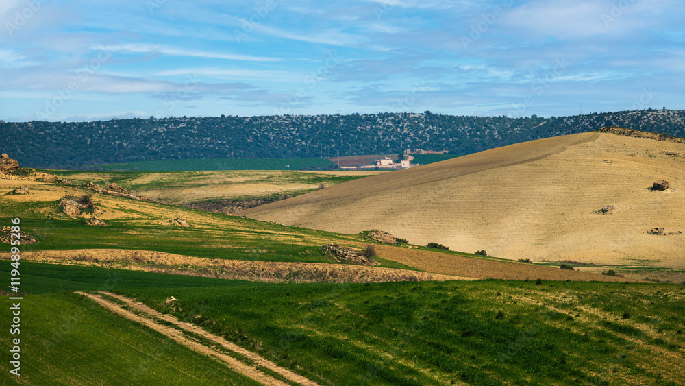 Matera province: spring countryside landscape Matera province: spring countryside landscape