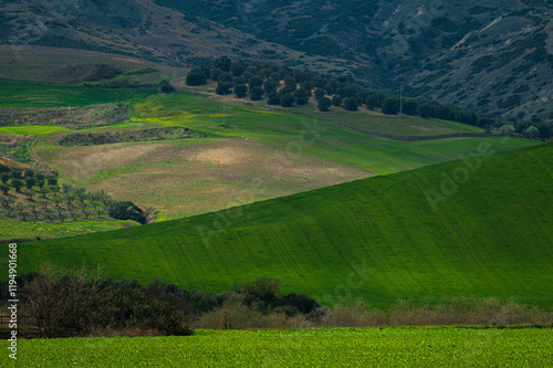 Matera province: spring countryside landscape  photo