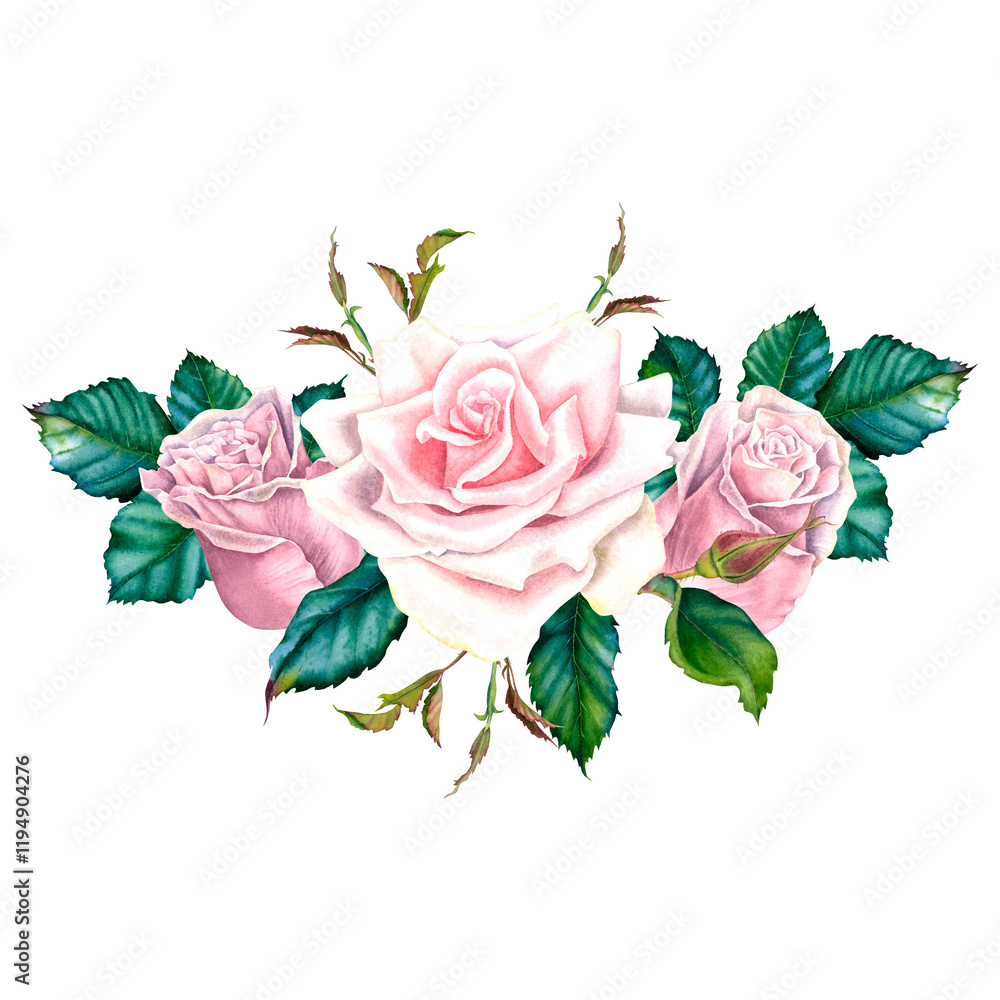 Naklejka premium Watercolor rose flower in pastel pink colors with green leaves. Hand drawn floral illustration for wedding invitations or greeting cards on isolated background. Botanical composition of blooming plant