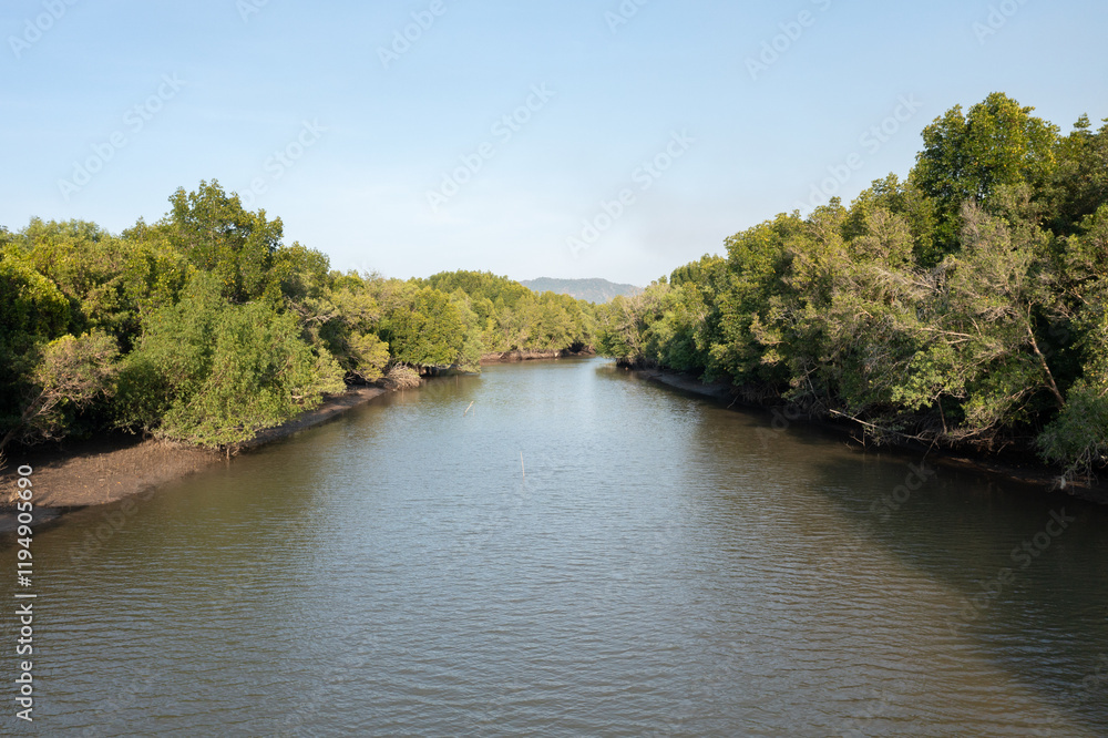 Aerial view of a lush mangrove forest with a winding river, showcasing the beauty of nature and the importance of preserving these vital ecosystems.