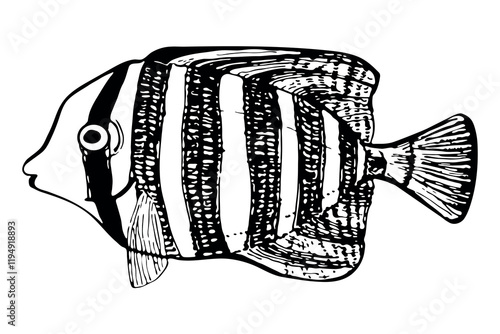 Hand drawn tropical fish in outline engraving style isolated on white background. Design for summer beach, tattoo, card, print, t-shirt, postcard, poster, invitations, greeting cards.