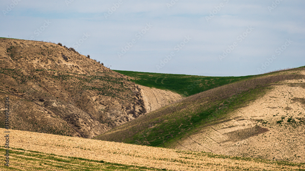 Fototapeta premium Matera province: spring countryside landscape 
