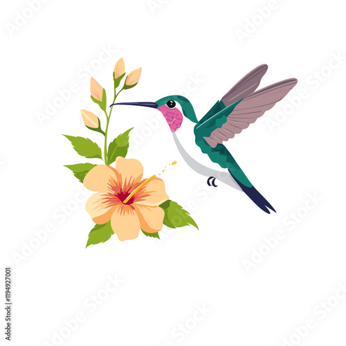 hummingbird and flowers vector transparent background design clip art