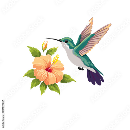 hummingbird and flowers vector transparent background design clip art