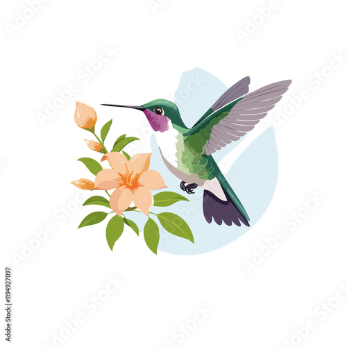 hummingbird and flowers vector transparent background design clip art