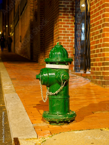 Green fire hydrant