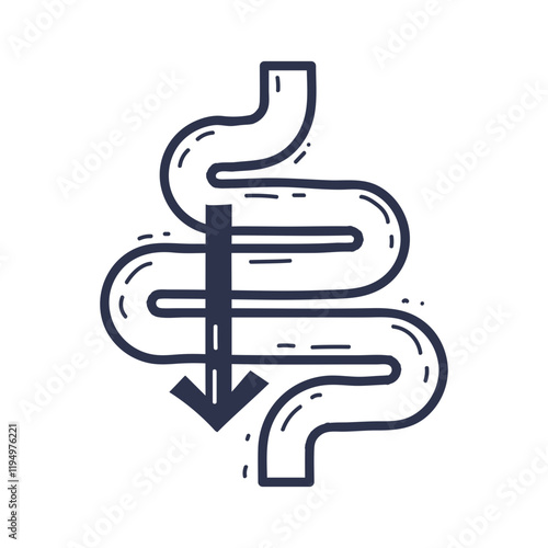 Illustration of a digestive pathway with an arrow indicating flow.