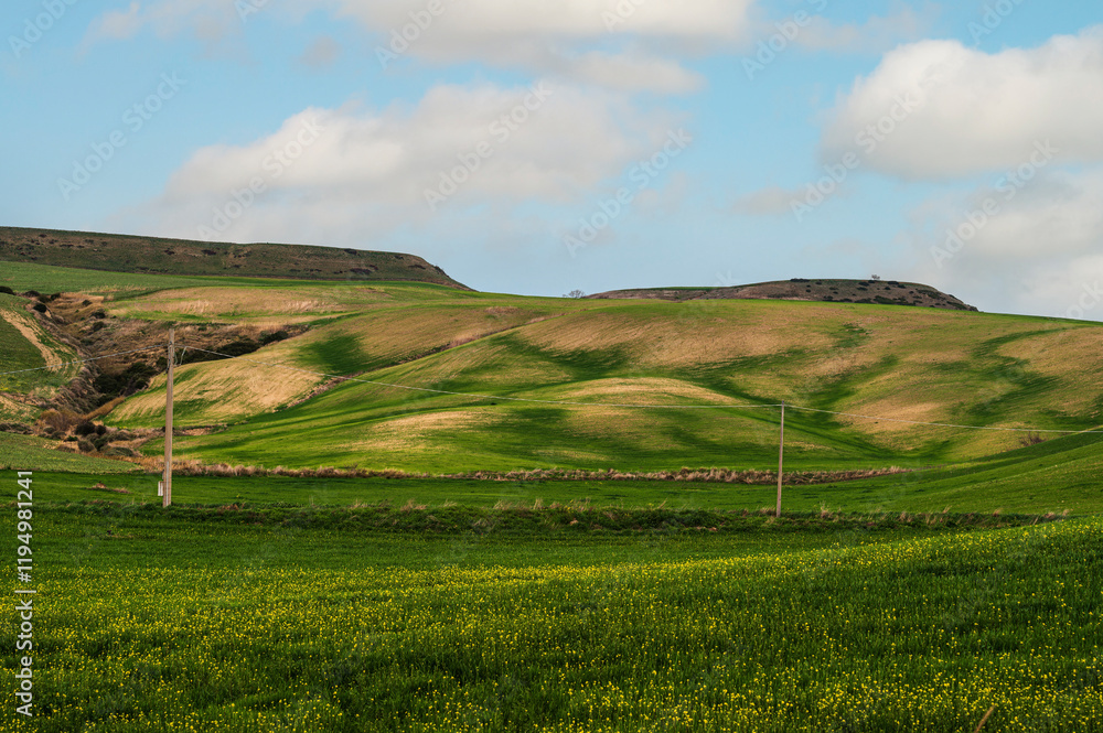 Matera province: spring countryside landscape Matera province: spring countryside landscape