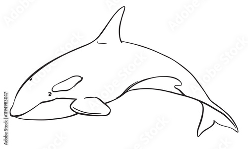 Vector logo of marine animal killer whale. Stylized linear illustration of Orca. Killer whale, sea predator jumping out of water with curved tail. Hand drawn, imitation of engraving technique.