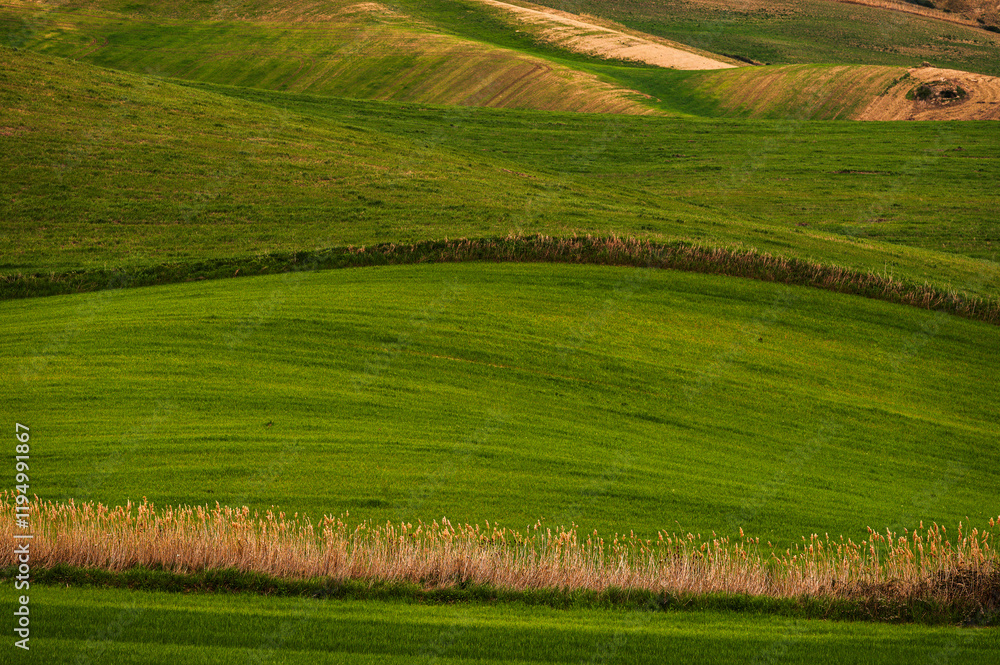 Matera province: spring countryside landscape Matera province: spring countryside landscape