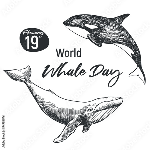 Whale Day emblem, February 19, 2025. Vector linear drawing of humpback whale and killer whale. Concept of global problem of preserving animal diversity in the ocean. Design for t-shirt.