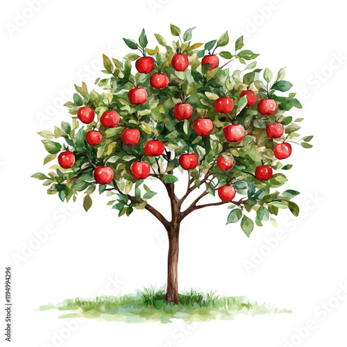 A watercolor vector painting of an Apple tree, isolated on a white background. Apple tree vector.

