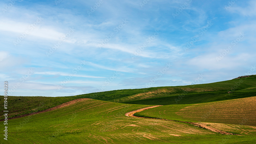 Fototapeta premium Matera province: spring countryside landscape