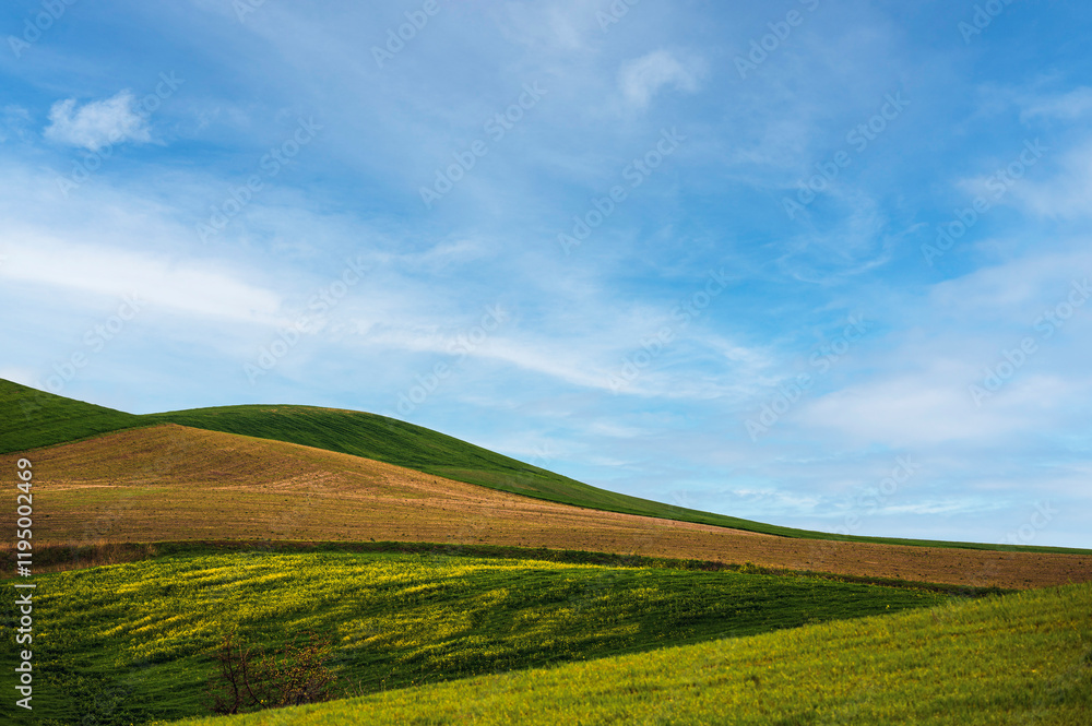 Obraz premium Matera province: spring countryside landscape 