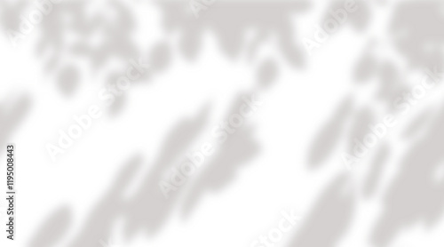 Tropical leaf Sunlight shadow png