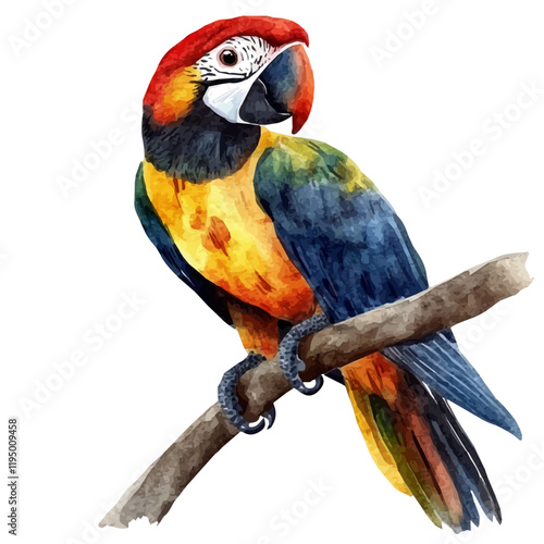 A watercolor painting of Guarana, isolated on a white background. Guarana vector.

