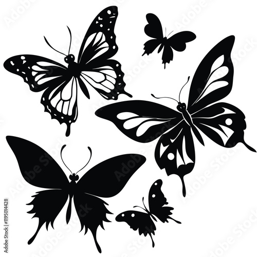 black and white butterfly