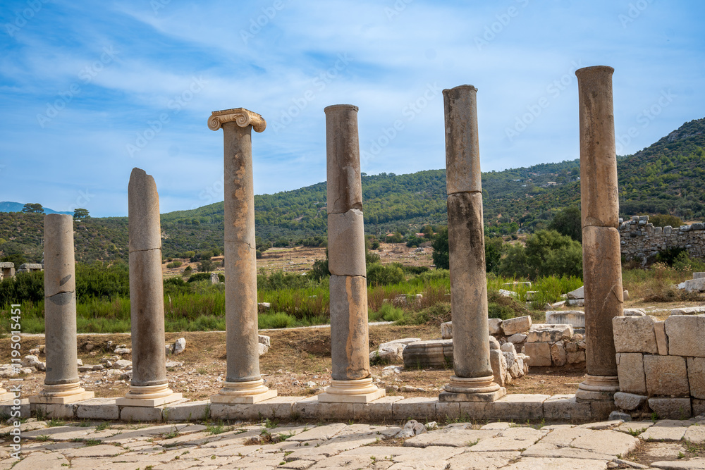 Fototapeta premium historical columns at patara turkey