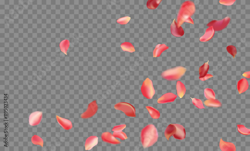Red rose and cherry blossom falling sakura petals on fake transparent background, isolated special effect. Vector illustration in eps format. Elements for Valentine's Day, Mother's Day, March 8. Love.