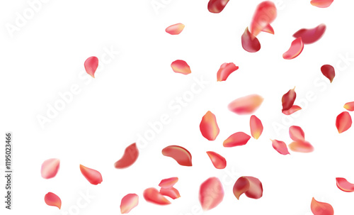 Red rose and cherry blossom falling sakura petals on fake transparent background, isolated special effect. Vector illustration in eps format. Elements for Valentine's Day, Mother's Day, March 8. Love.