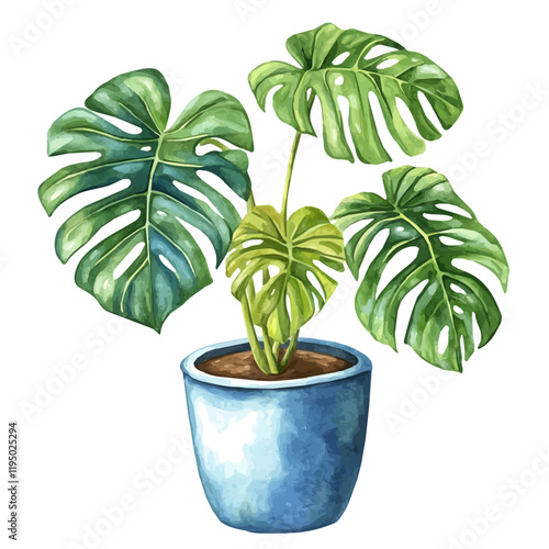 A watercolor drawing of a Swiss cheese plant, isolated on a white background. Swiss cheese plant vector.
