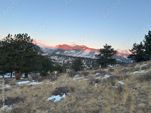 Snow covered mountain of the Estes Park Rockey mountains in Colorado photo