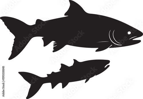 shark illustration