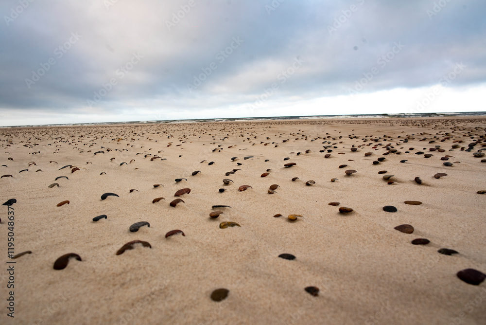 Stones on the beach by the cold northern sea Stones on the beach by the cold northern sea