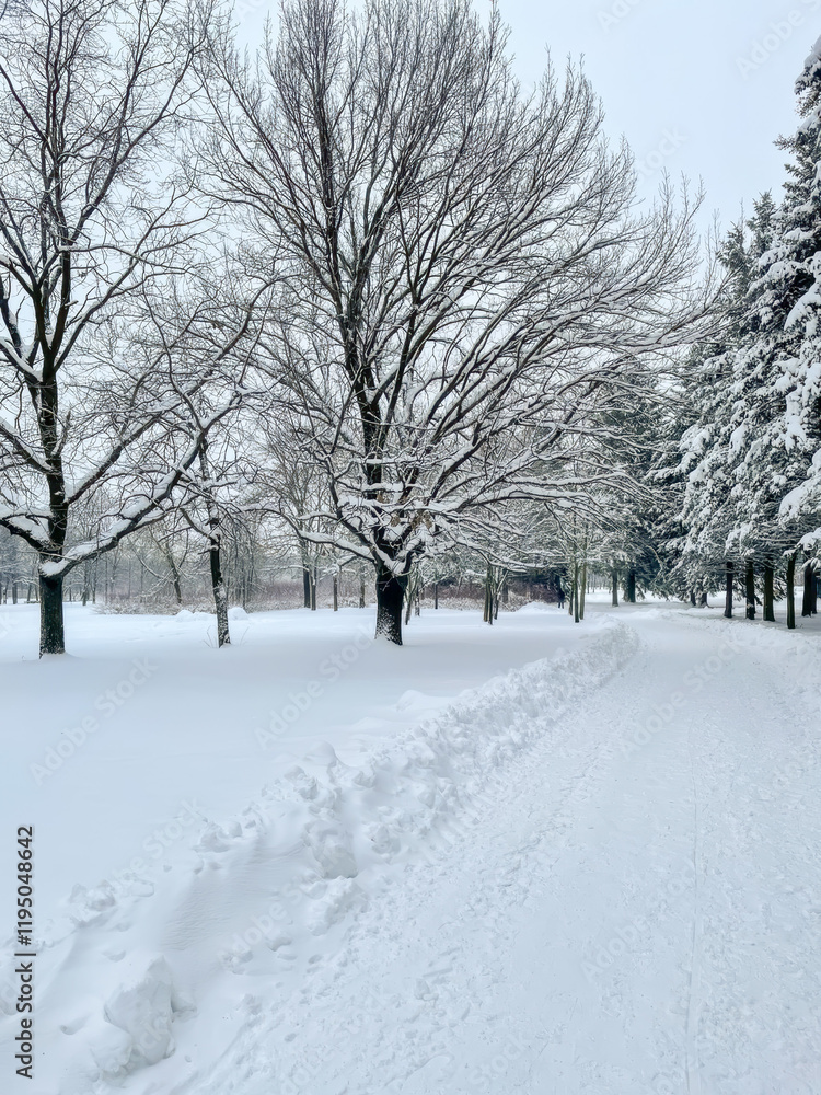 Snow-covered park with bare trees and a quiet path, ideal for winter holiday themes and serene landscapes