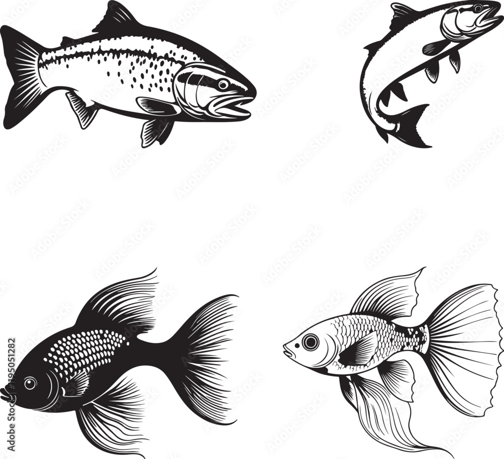 Fototapeta premium set of fish isolated
