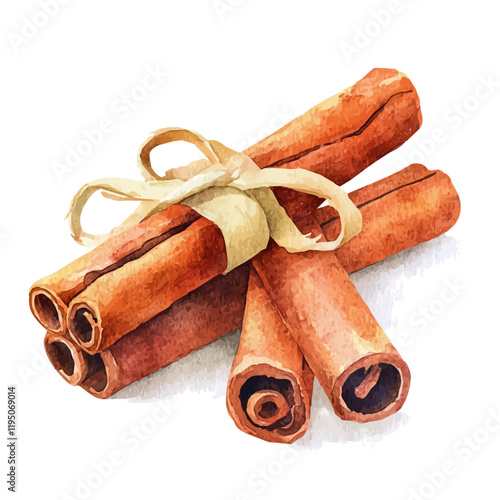 A watercolor drawing of Cinnamon, isolated on a white background. Cinnamon vector.

