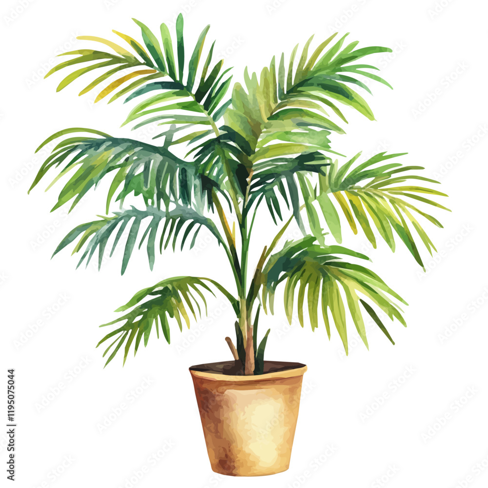 A watercolor drawing of a bottle palm, isolated on a white background. Bottle palm vector.
A watercolor drawing of a bottle palm, isolated on a white background. Bottle palm vector.