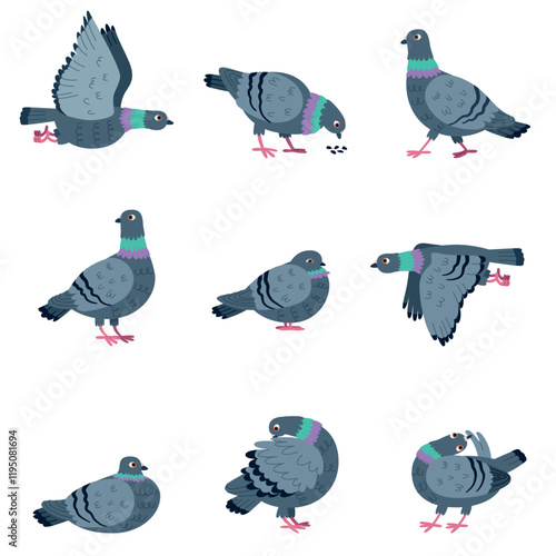 Cartoon pigeon character. Cute street city bird, different poses and actions, funny dove mascot, flying, eating and sitting, vector set
