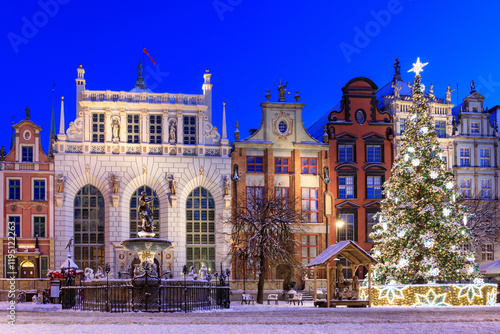 Long Lane with the Christmas tree at snowy morning, Gdansk. Poland photo