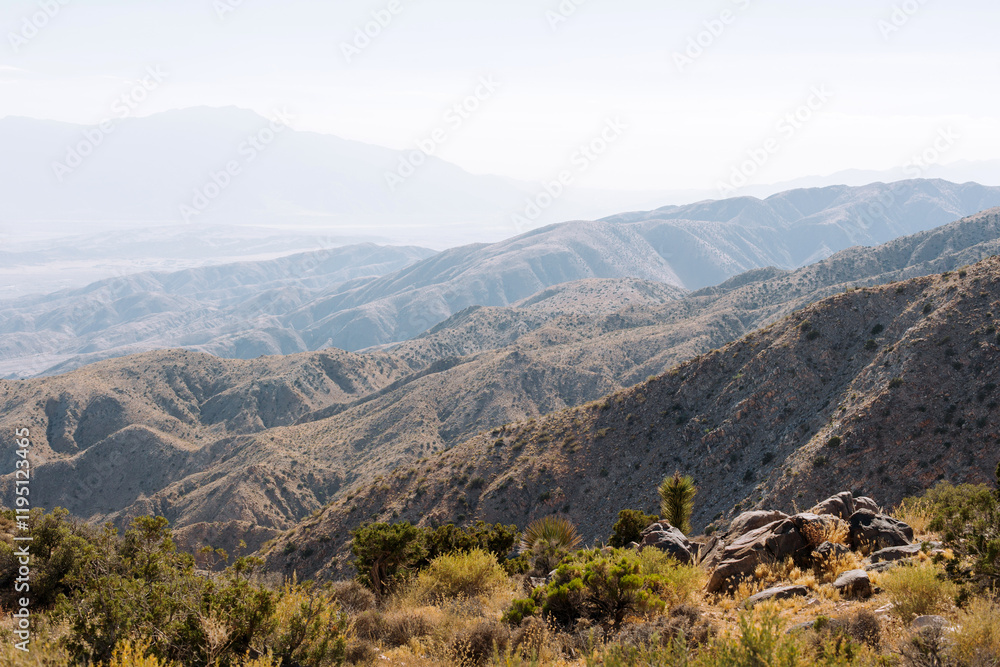 Naklejka premium Layers of misty mountains across the horizon during sunset, Joshua park, California.