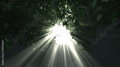 Sunlight Filtering Through Lush Green Leaves in a Forest Canopy - A Serene Nature Scene photo