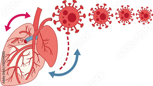 illustration of human organs heart virus blood flow health