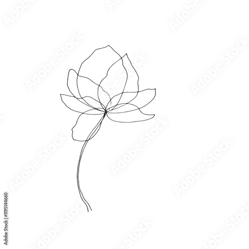 flower with transparent petals and leaves black and white vector illustration composition isolated on white background base for textile typography postcard design