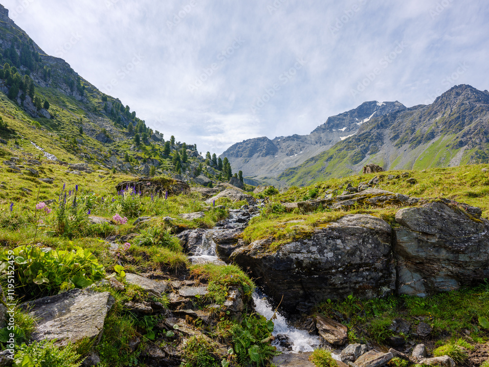 Obraz premium Alpines Bachtal bei Siviez mit Wanderweg und Blick auf die Berge