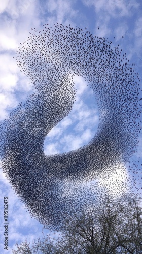 A mesmerizing murmuration of starlings forms a swirling, abstract shape against a partly cloudy sky.