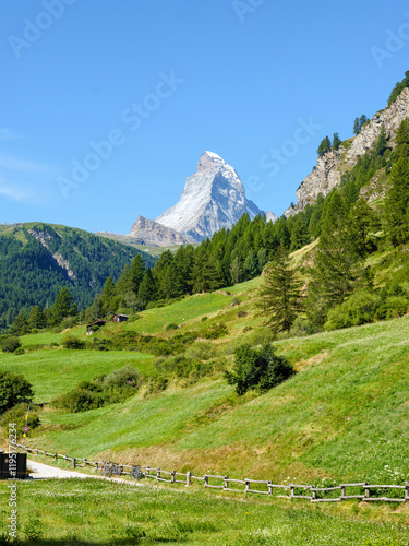 Matterhorn im Sommer – Blick über saftige Wiesen und Wälder bei Zermatt