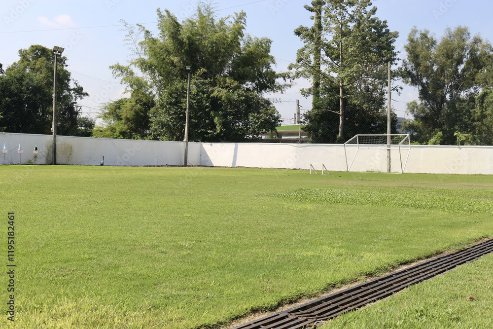 Obraz premium lush green soccer field with goalposts and trees in background