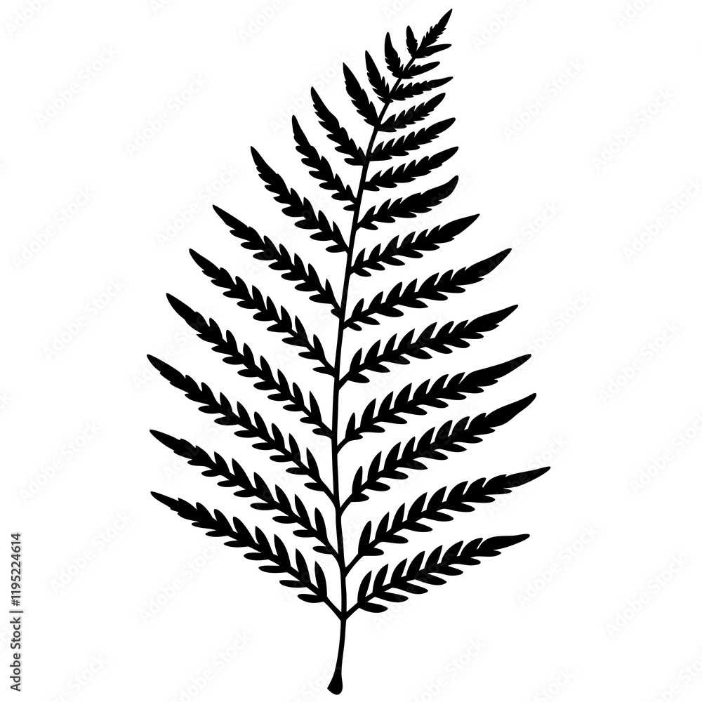 Modern Botanical Fern Line Vectors Modern Botanical Fern Line Vectors